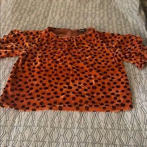 Madewell Leopard Top